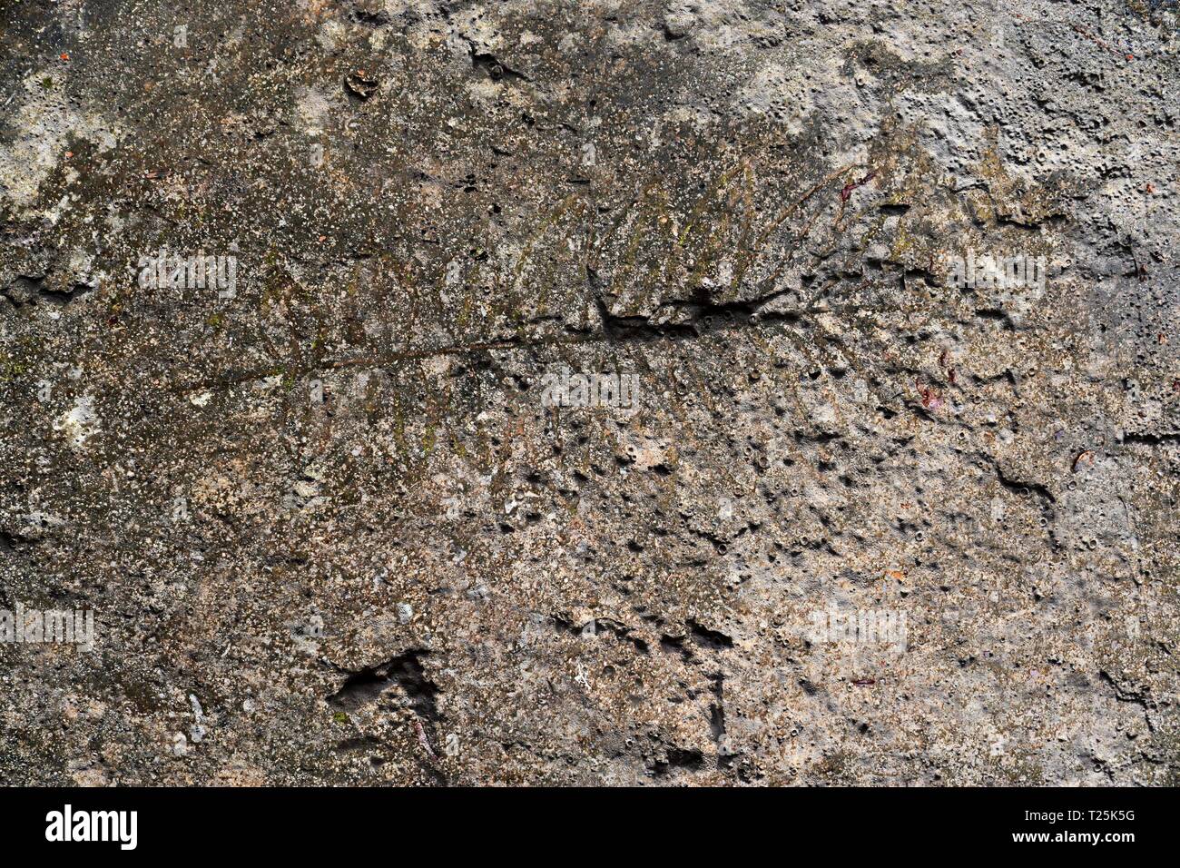 Interesting close up structures of cement and sand stone walls in high ...