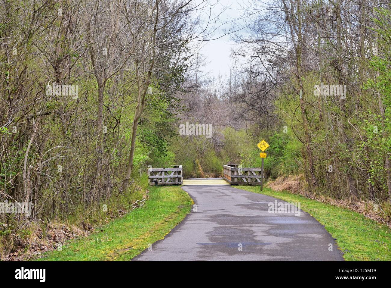 Views of Bridges and Pathways along the Shelby Bottoms Greenway and