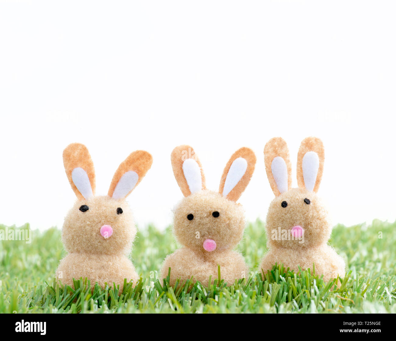Three easter bunnies hi-res stock photography and images - Alamy