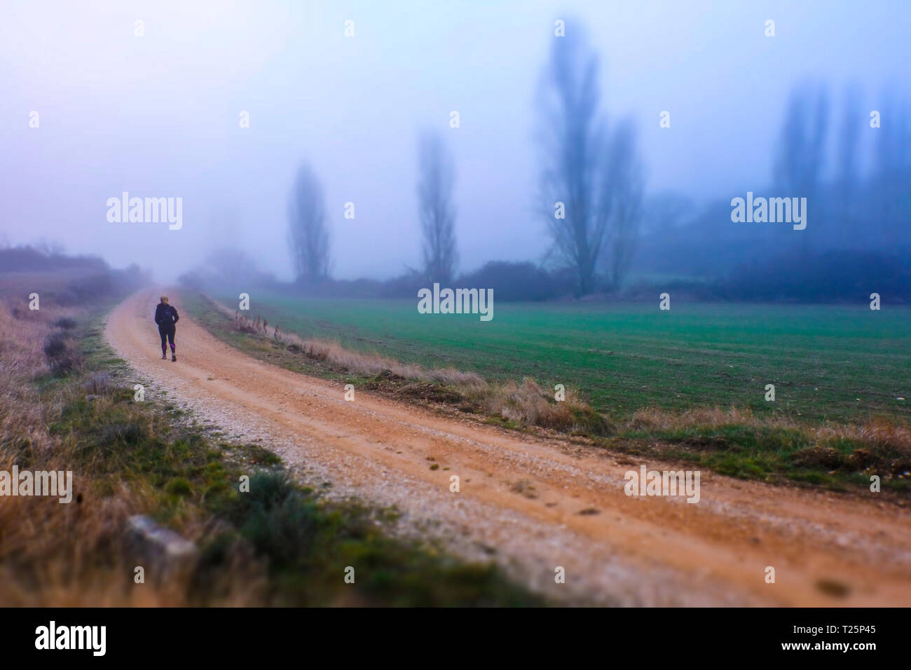 Woman in a rural path. Stock Photo