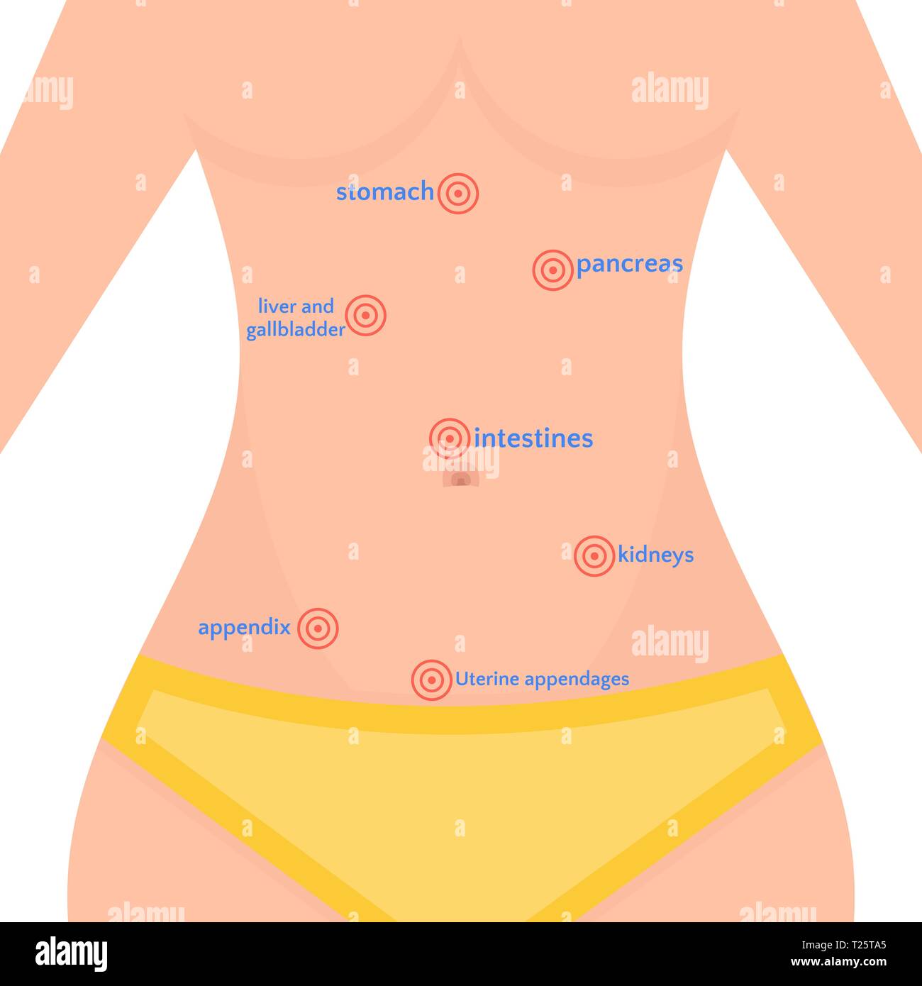 Types of abdominal pain in women, location of bali in the human body, woman health vector illustration Stock Vector