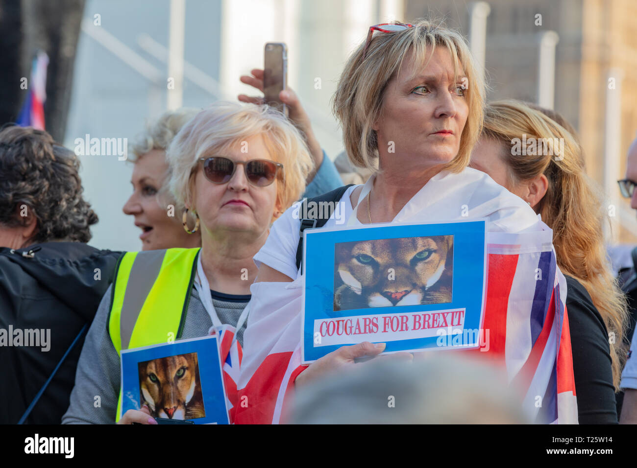 Yellow vest protest westminster hi-res stock photography and images - Alamy