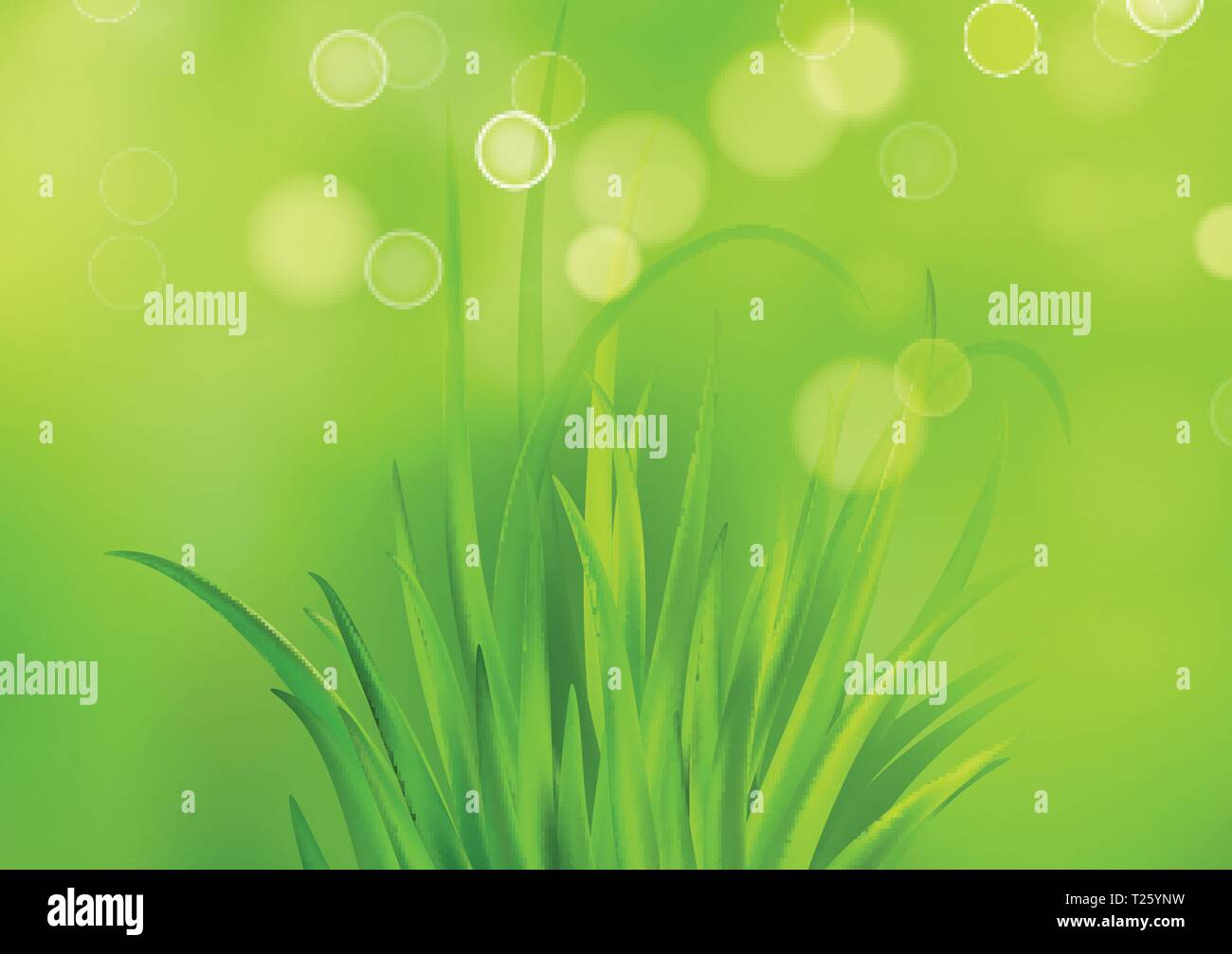 Lush green grass isolated Stock Vector Images - Alamy