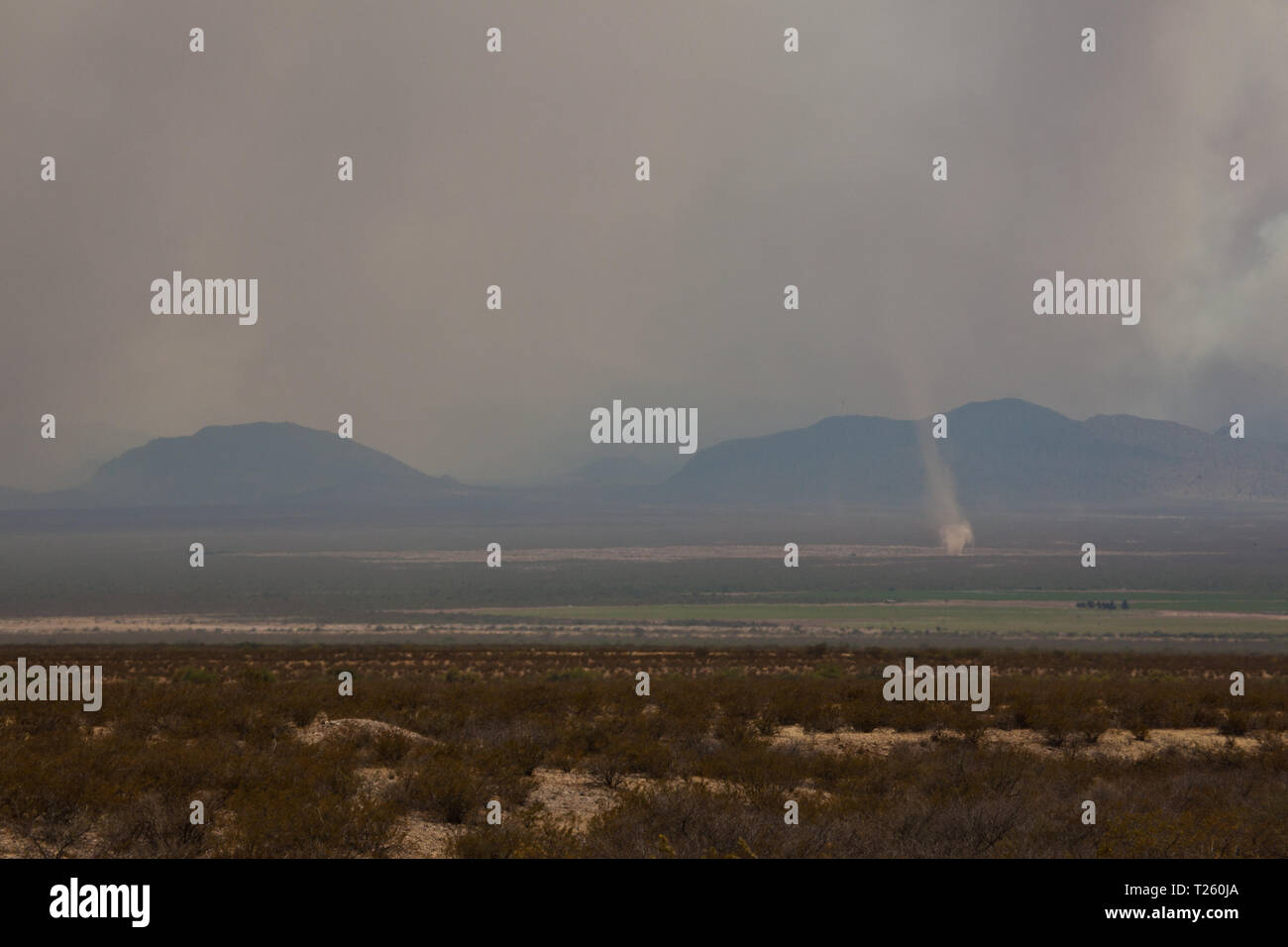 San Simon, Cochise County, Arizona, USA Stock Photo Alamy