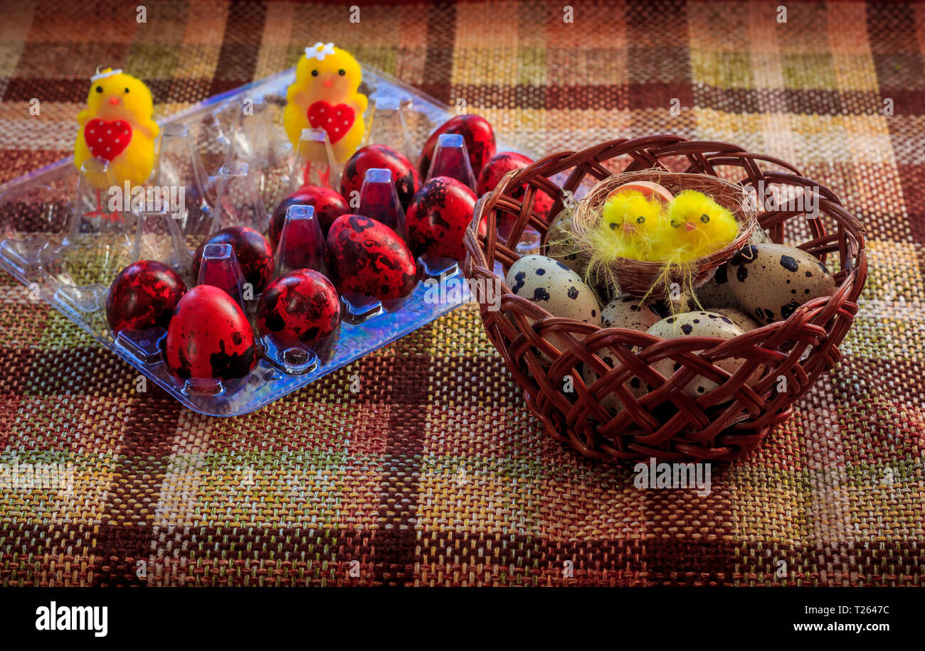 Painted quail eggs. Small quail eggs. Easter. traditions. egg coloring Stock Photo