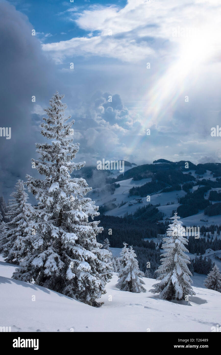 Germany, Bavaria, Chiemgau, Chiemgau Alps, Sachrang, Spitzstein in winter Stock Photo