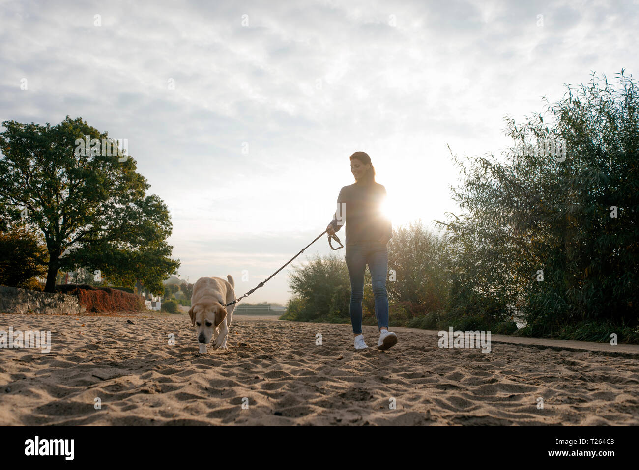 Germany, Hamburg, woman walking with dog on beach at the Elbe shore Stock Photo