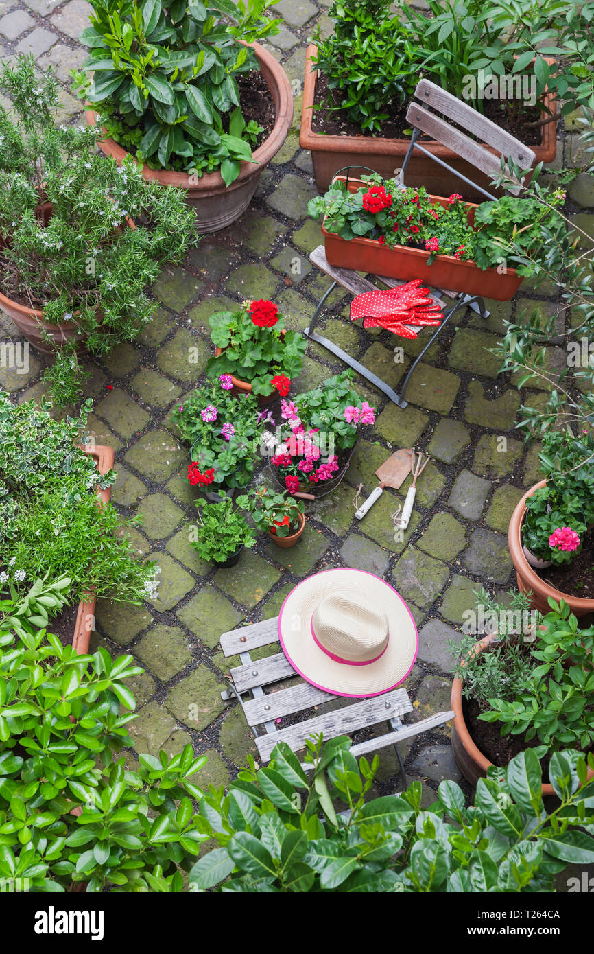 Various potted spring and summer plants ready for planting in a garden, bird's eye view Stock Photo