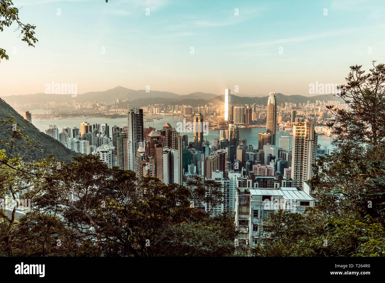Hong Kong, Causeway Bay, cityscape Stock Photo