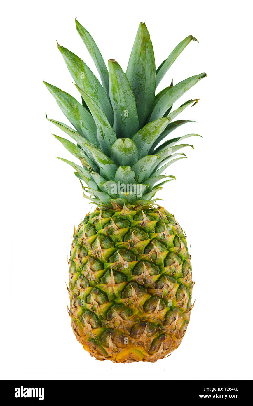 ananas comosus pineapple isolated on white background Stock Photo