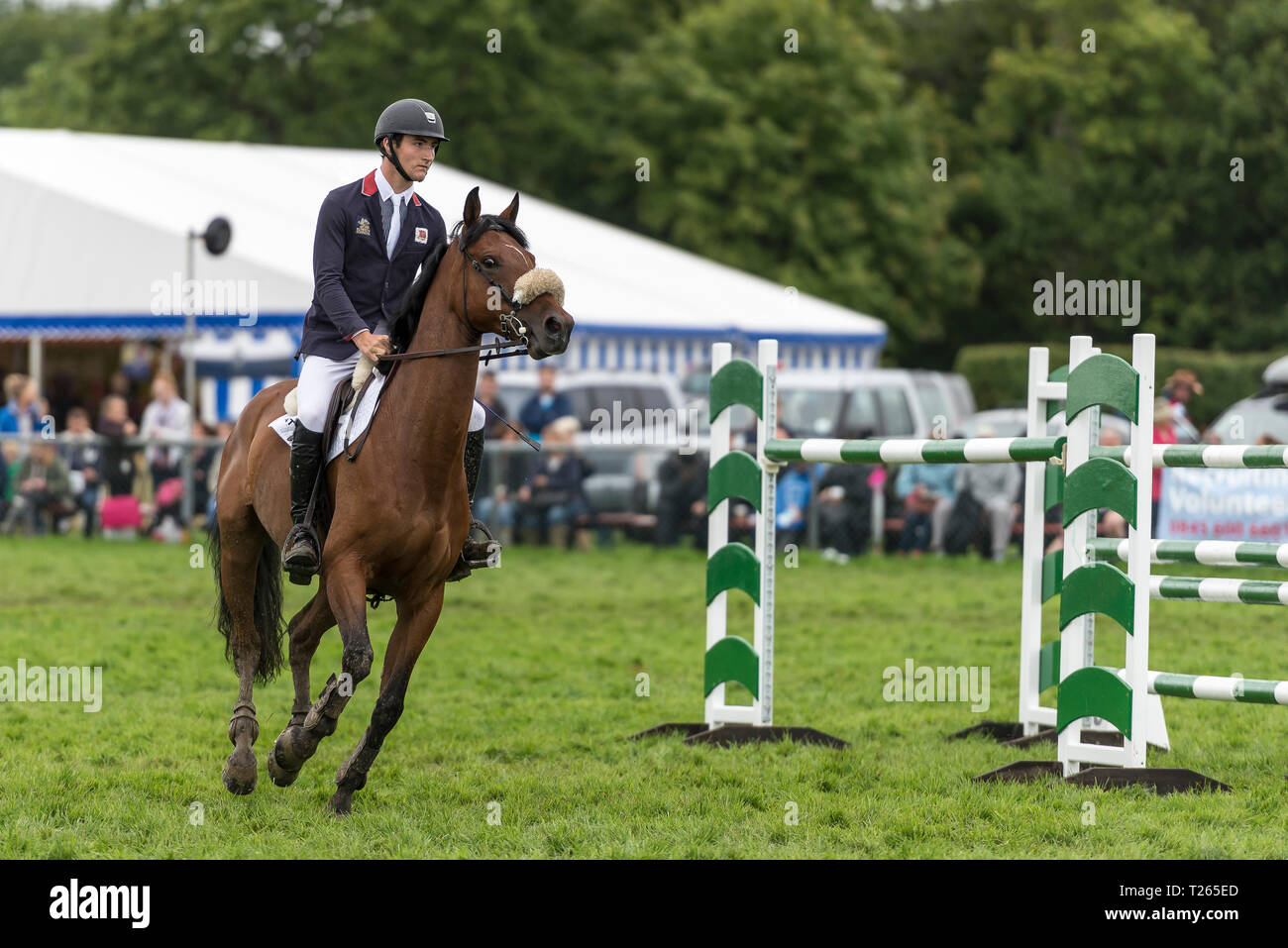 Rider jumping fence showjumping competition hi-res stock photography ...