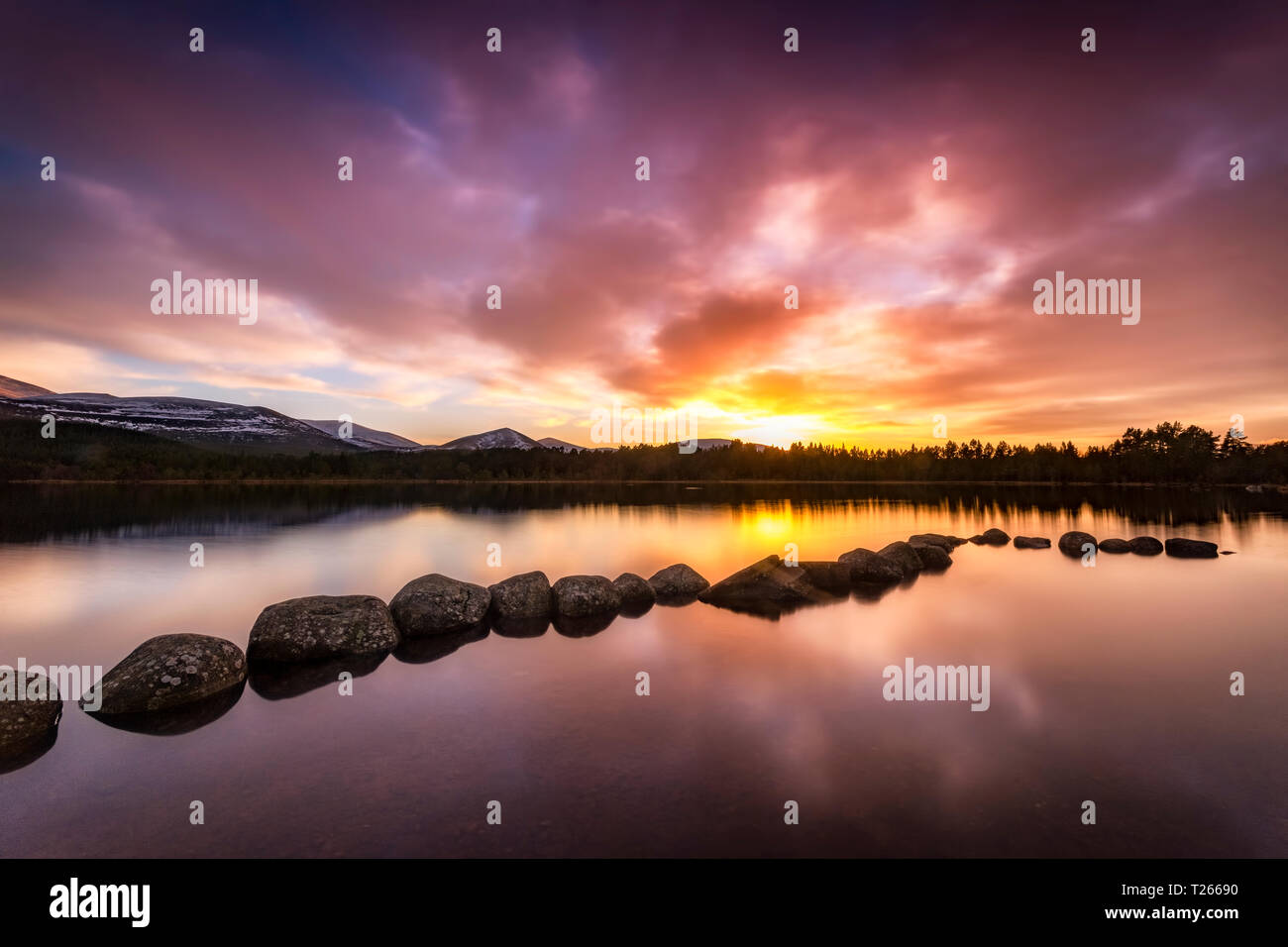 UK, Scotland, Highlands, Cairngorms National Park, Loch Morlich, sunset Stock Photo