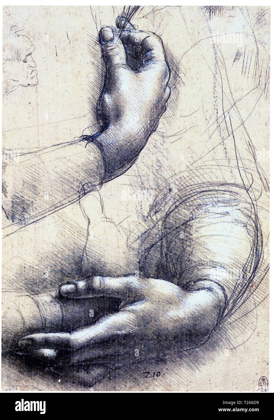 Leonardo da vinci hands hi-res stock photography and images - Alamy