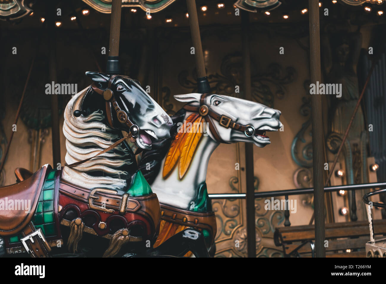 Vintage carousel horses horse hi-res stock photography and images - Alamy