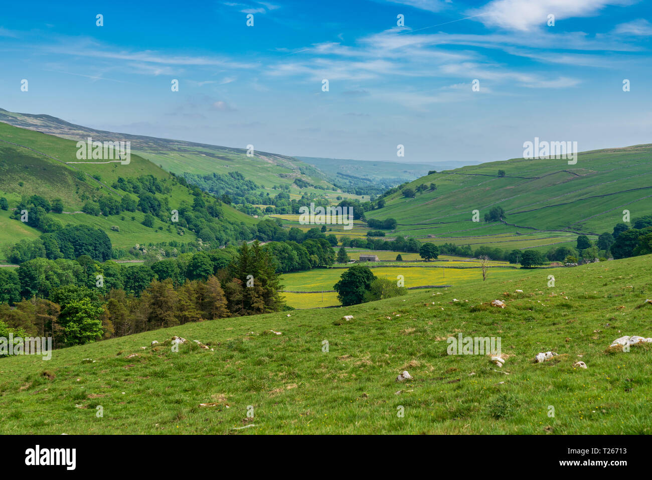 Yorkshire Dales landscape near Halton Gill with some old stone barns on meadows, North Yorkshire, England, UK Stock Photo