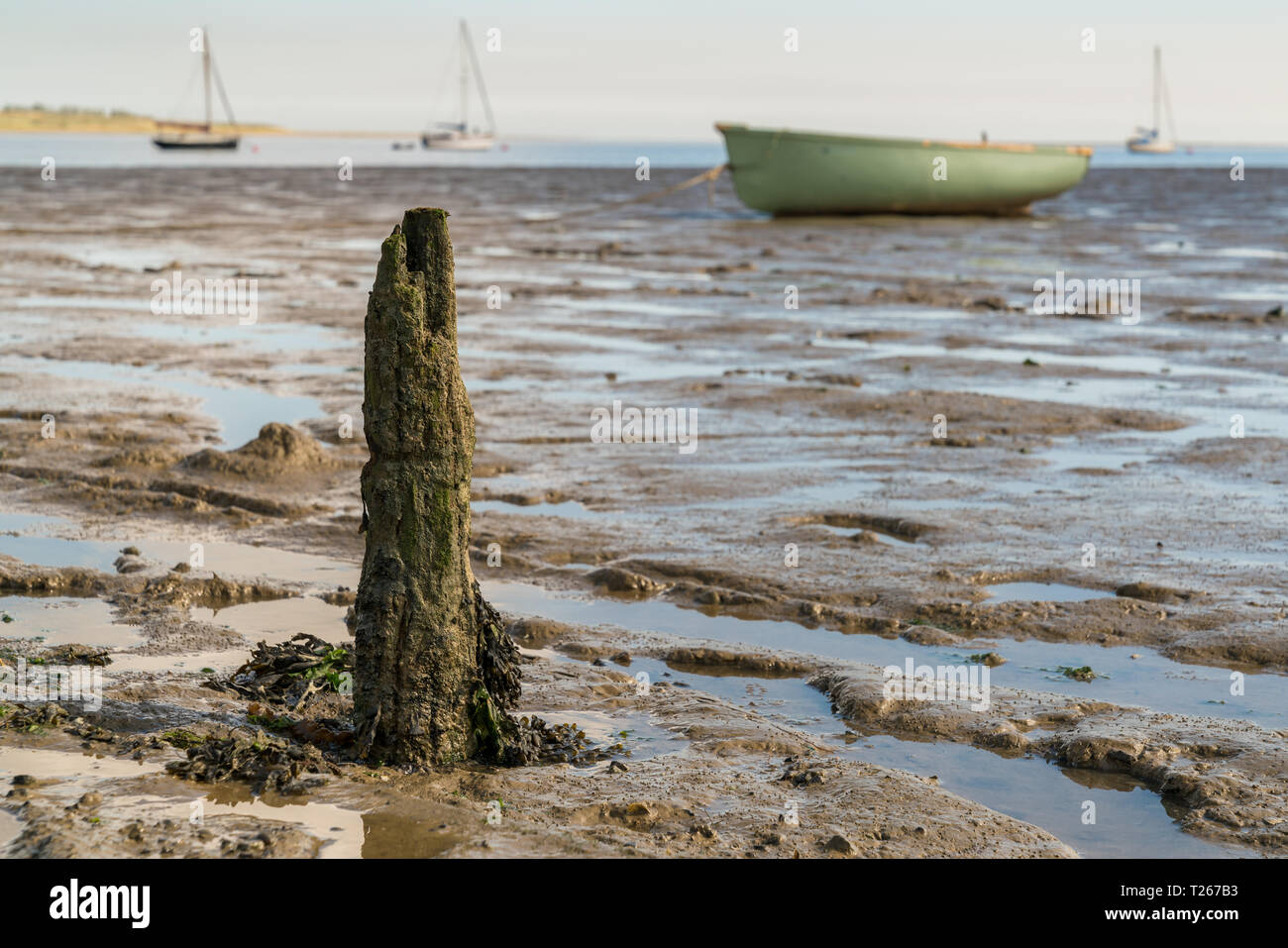 A wooden stake in the Oare Marshes at low tide near Faversham, Kent, England, UK - with some boats and the Isle of Sheppey in the background Stock Photo