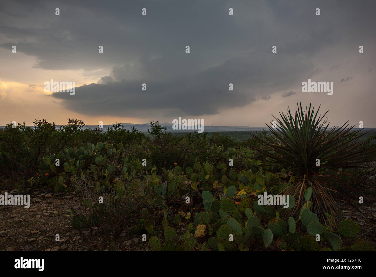 , Mpo. Acuña, Coahuila, Mexico Stock Photo