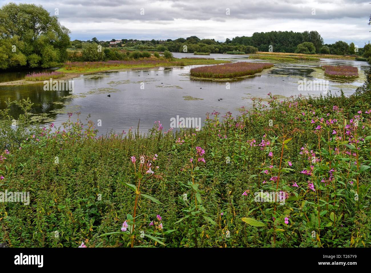 Kingsbury Water Park, north Warwickshire, England, UK Stock Photo