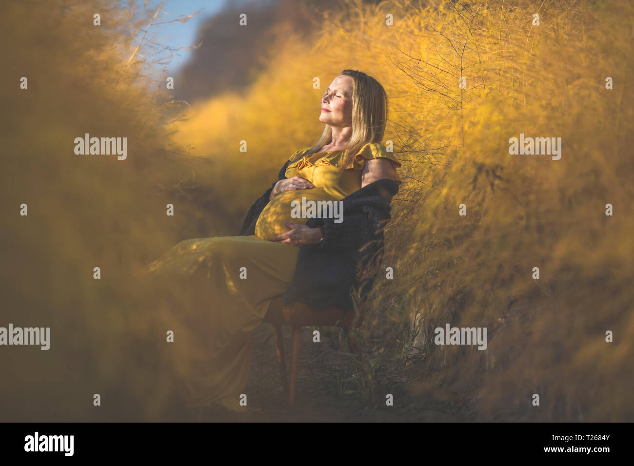 Pregnant woman sitting on chair in asparagus field in autumn Stock Photo