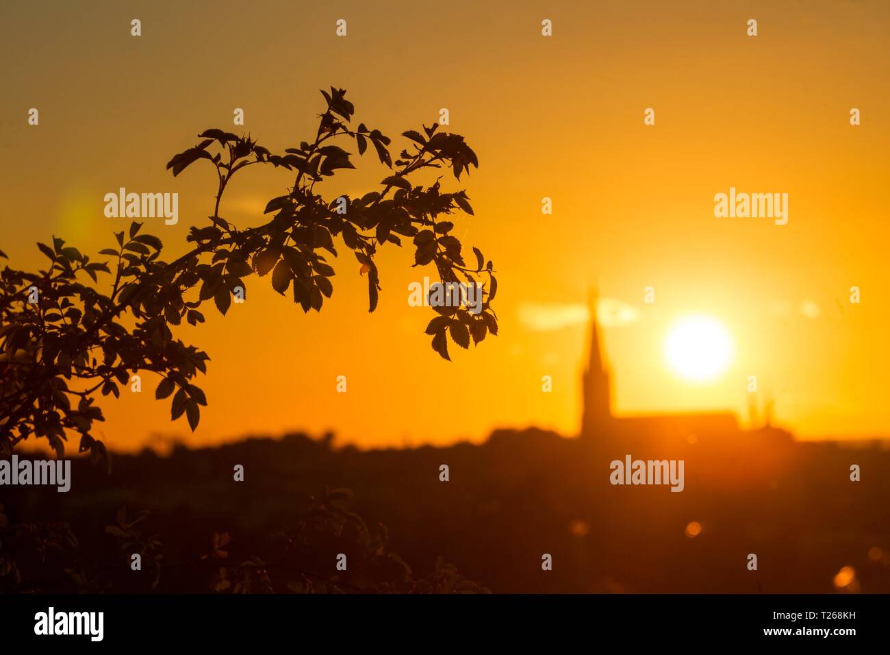 Summer evening in July in the city of Linköping Stock Photo - Alamy