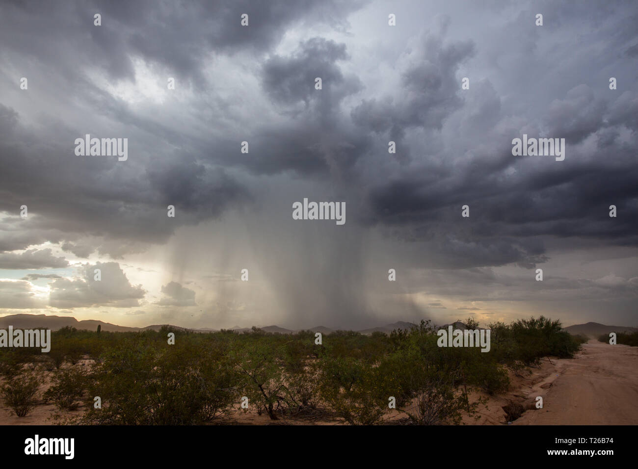 Three Points, Pima County, Arizona, USA Stock Photo Alamy