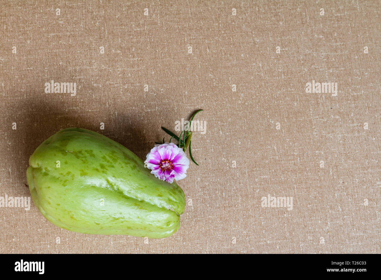 Chayote fruit and small flower with textured backgroud. Stock Photo