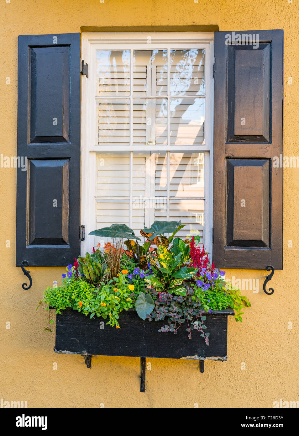 Exterior window of colonial home with flower box and black shutters Stock Photo