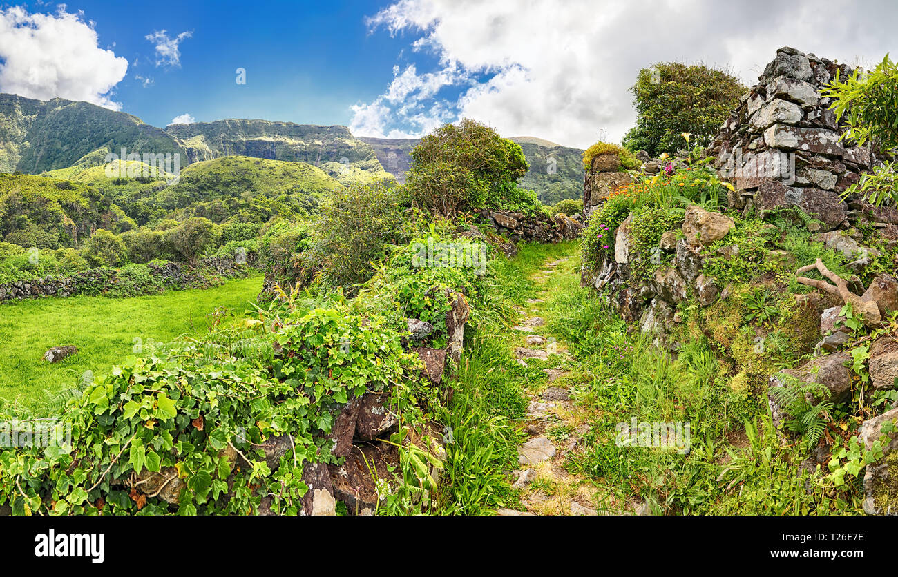 Hiking trail near Faja Grande (Flores, Azores islands) Stock Photo