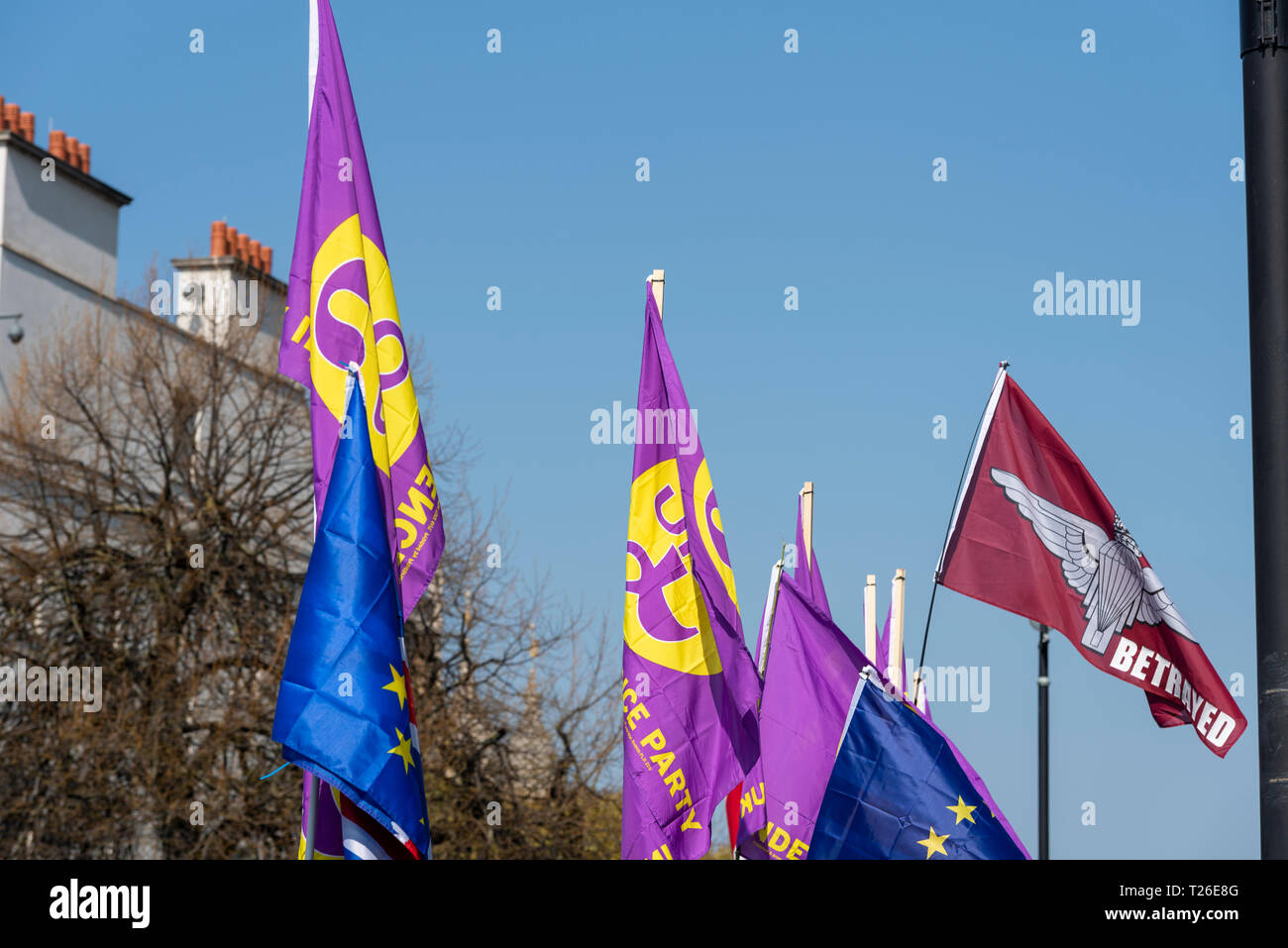 UKIP flags outside Parliament at the Brexit Betrayal march in London, UK. UK Independence Party flag. Space for copy Stock Photo