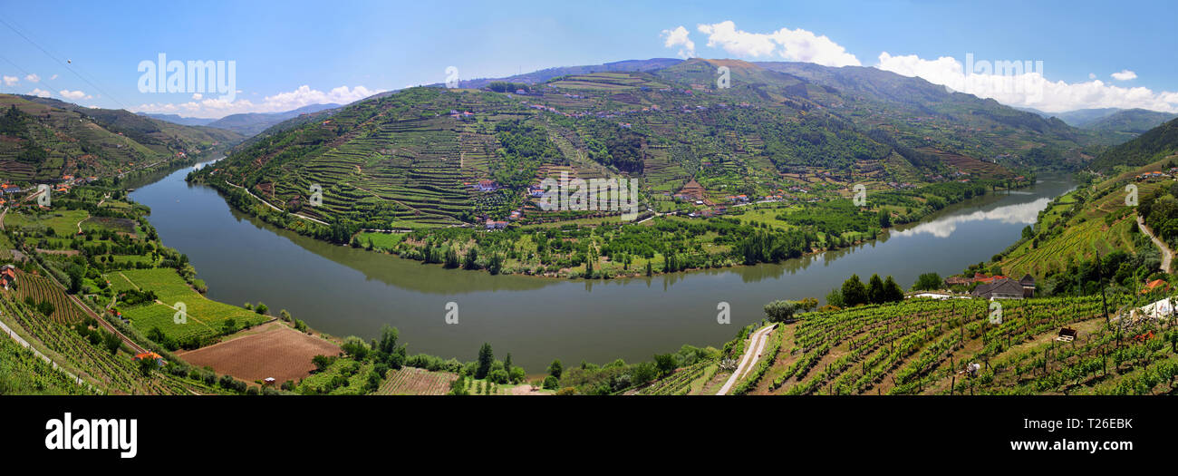 Valley of river Douro with vineyards near Mesao Frio (Portugal) - panoramic view Stock Photo