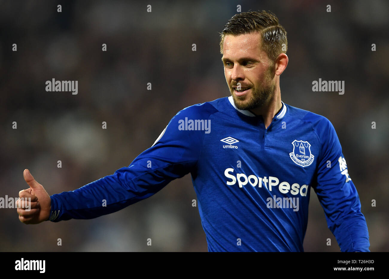 Gylfi sigurdsson