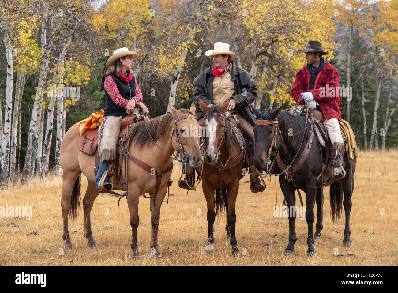 Cowboys of Wyoming, USA Stock Photo Alamy