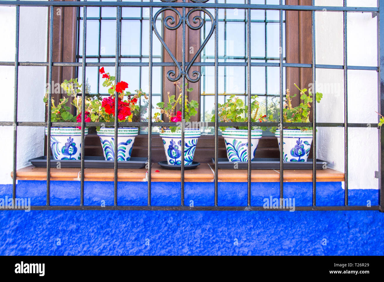 Five potted plants in a window; Granada, Spain Stock Photo Alamy