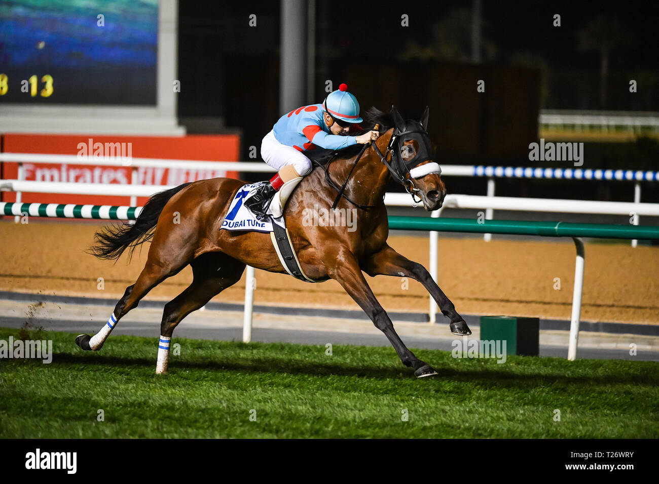 Dubai, UAE. 30th March 2019. Almond Eye ridden by Christophe Lemaire