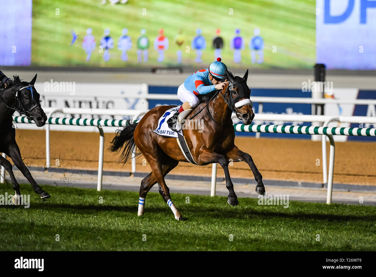 Dubai, UAE. 30th March 2019. Almond Eye ridden by Christophe Lemaire