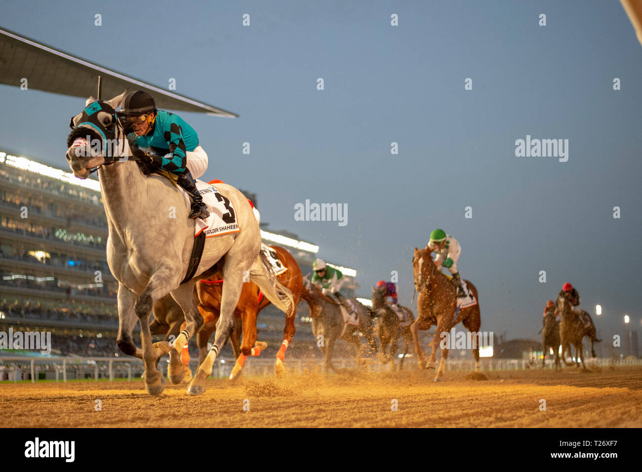 соревнования в дубае. чеченский спецназ. соревнования в дубае. дубай турнир. скачки мейдан дубай.
