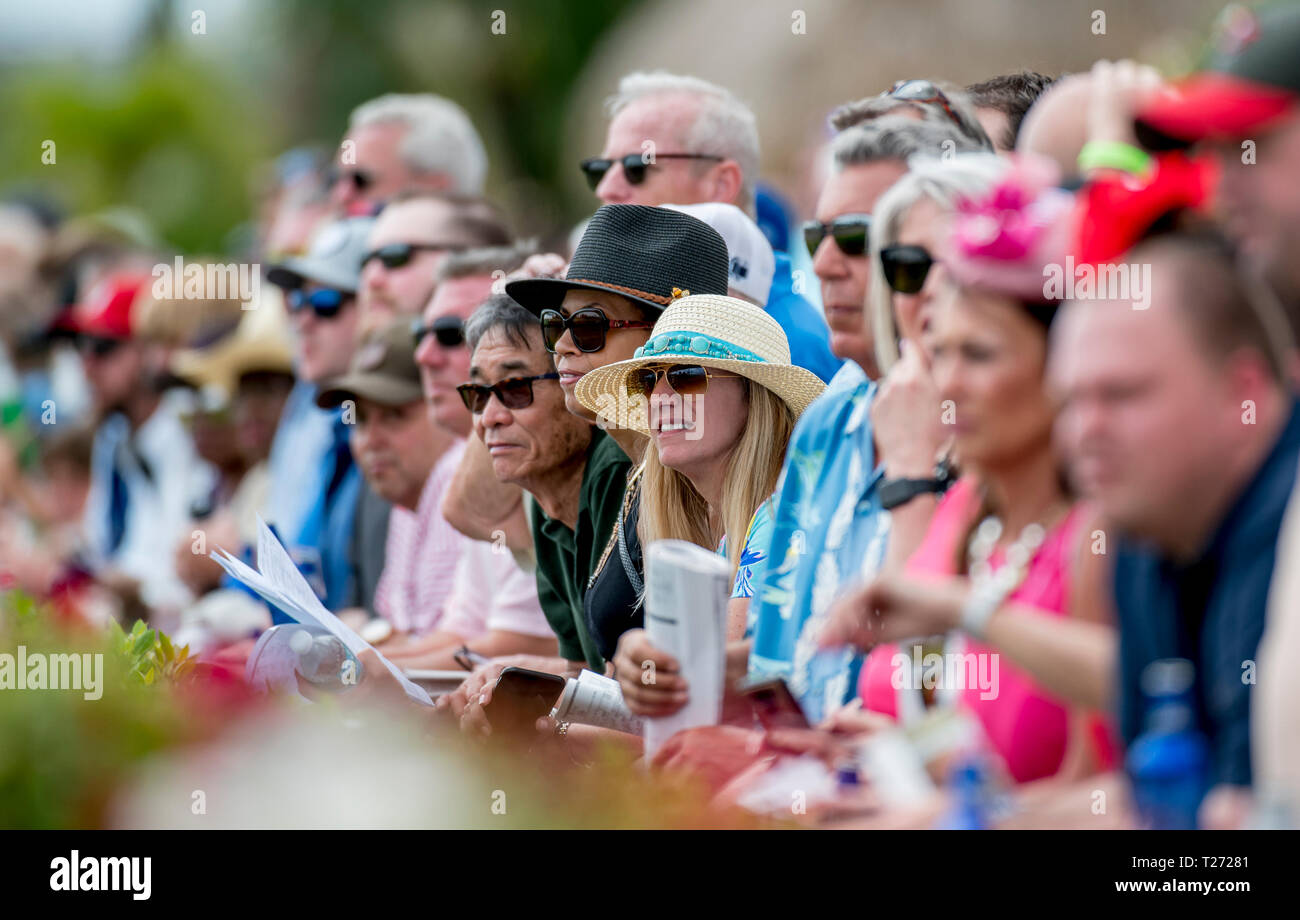 Hallandale Beach, Florida, USA. 30th Mar, 2019. HALLANDALE, FLORIDA - MARCH 30: Scenes from around the track on Florida Derby Day at Gulfstream Park Race Track in Hallandale Beach, Florida. Scott Serio/Eclipse Sportswire/CSM/Alamy Live News Stock Photo