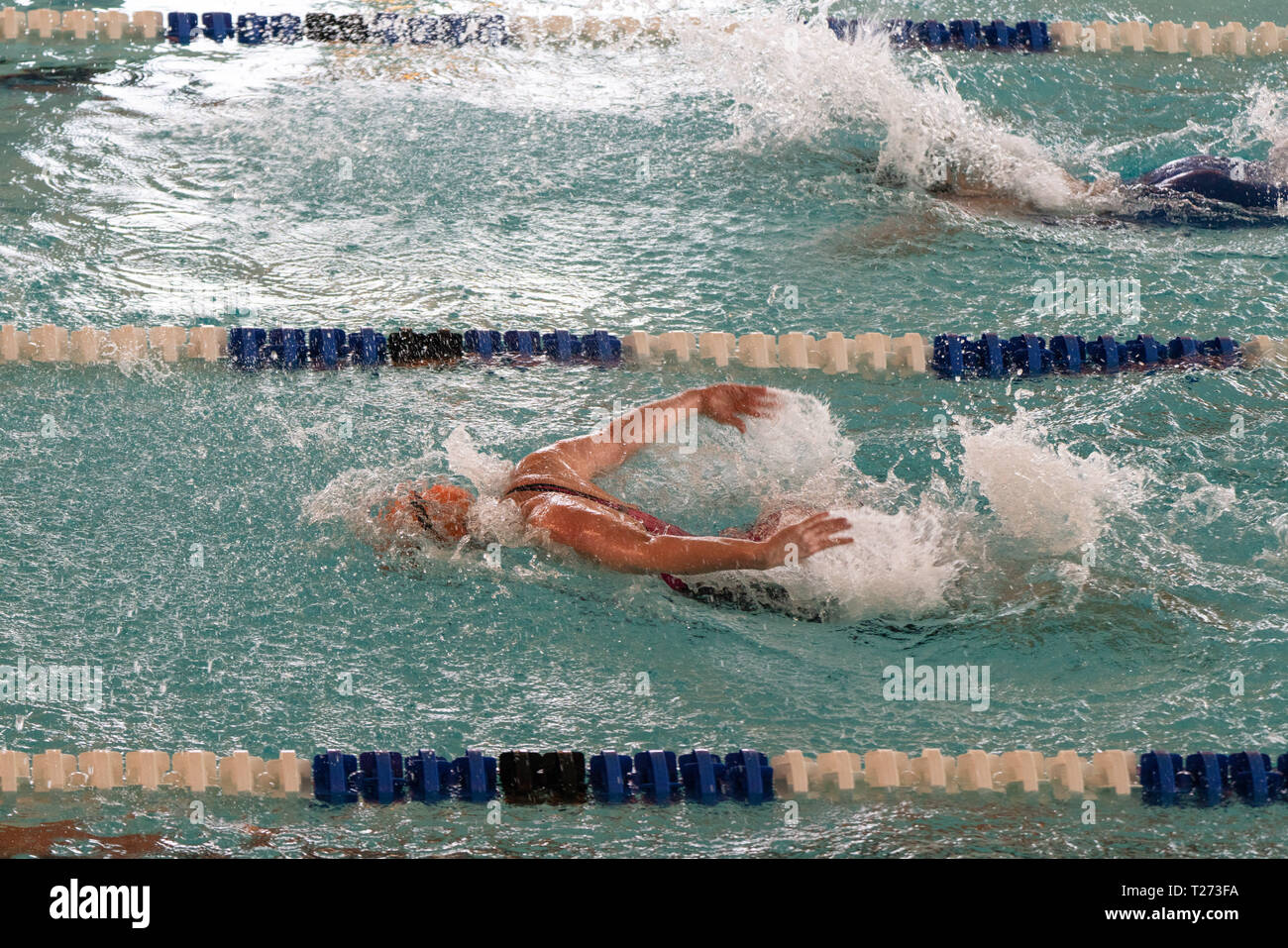 Swimmers racing in pool lanes hi-res stock photography and images - Alamy