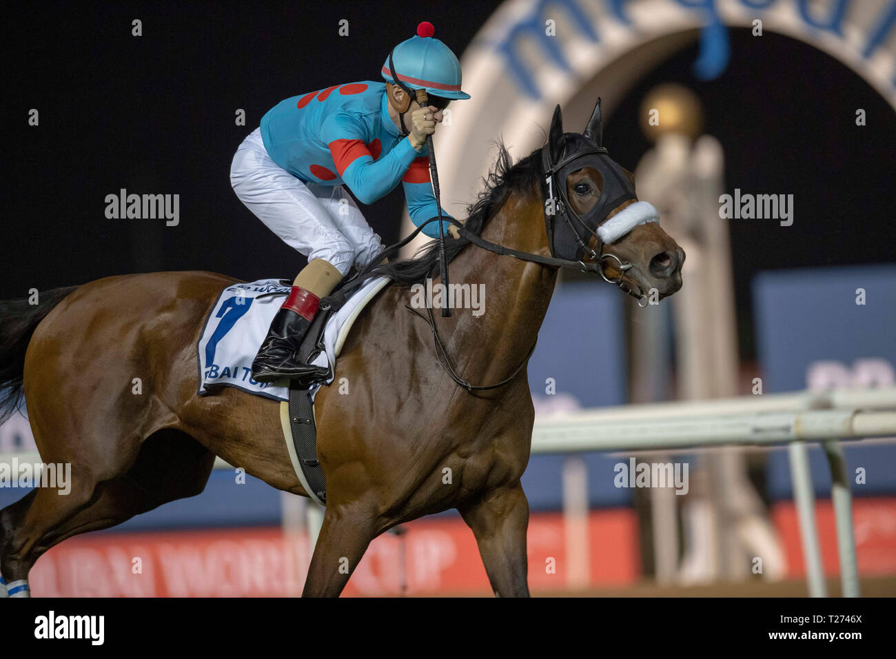 Almond eye horse hires stock photography and images Alamy