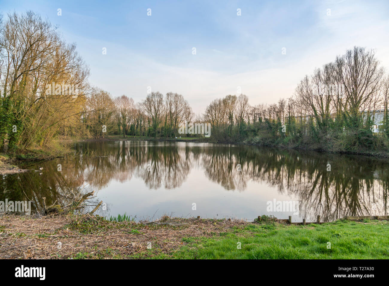 Lakeside view, Ipsley Mill Pond in Redditch, Worcestershire, England Stock Photo