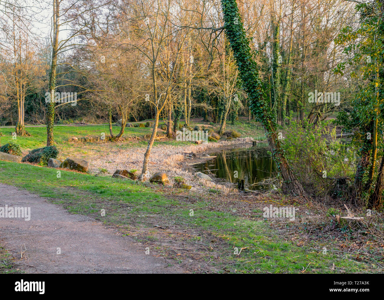 Lakeside view, Ipsley Mill Pond in Redditch, Worcestershire, England Stock Photo