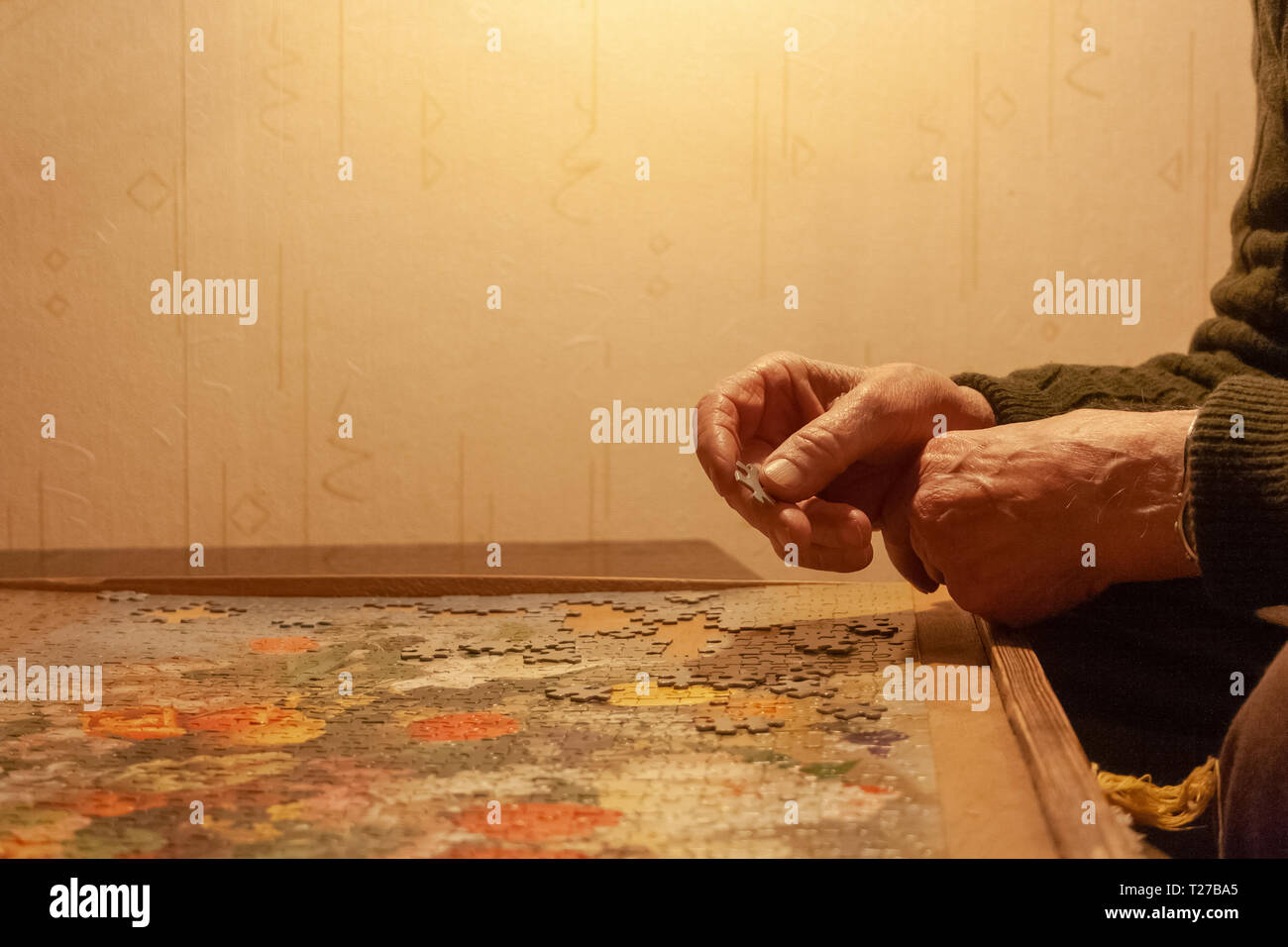 A pensioner puts a puzzle on the table. He love puzzles. Stock Photo