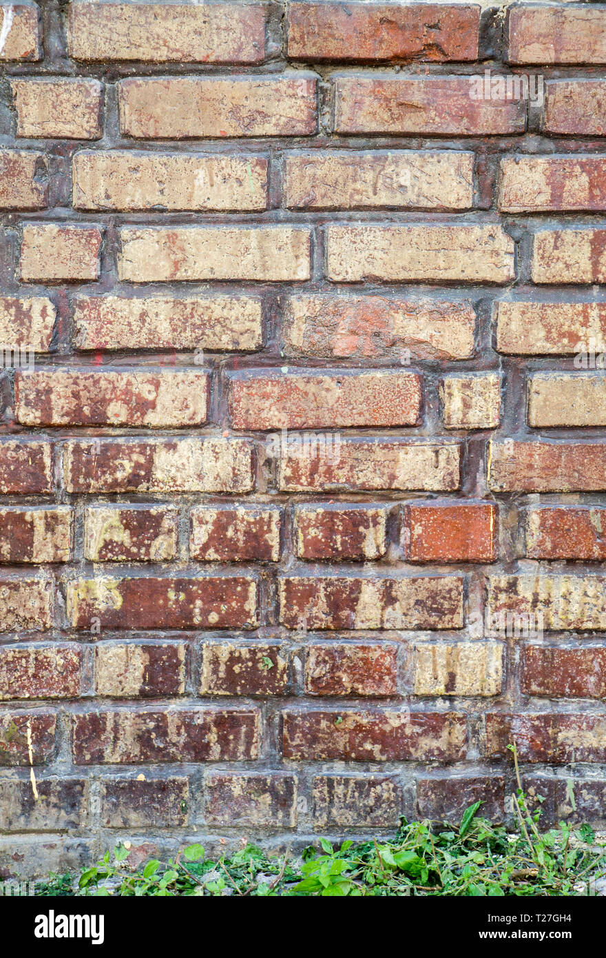 Old grunge brick wall as a background Stock Photo - Alamy