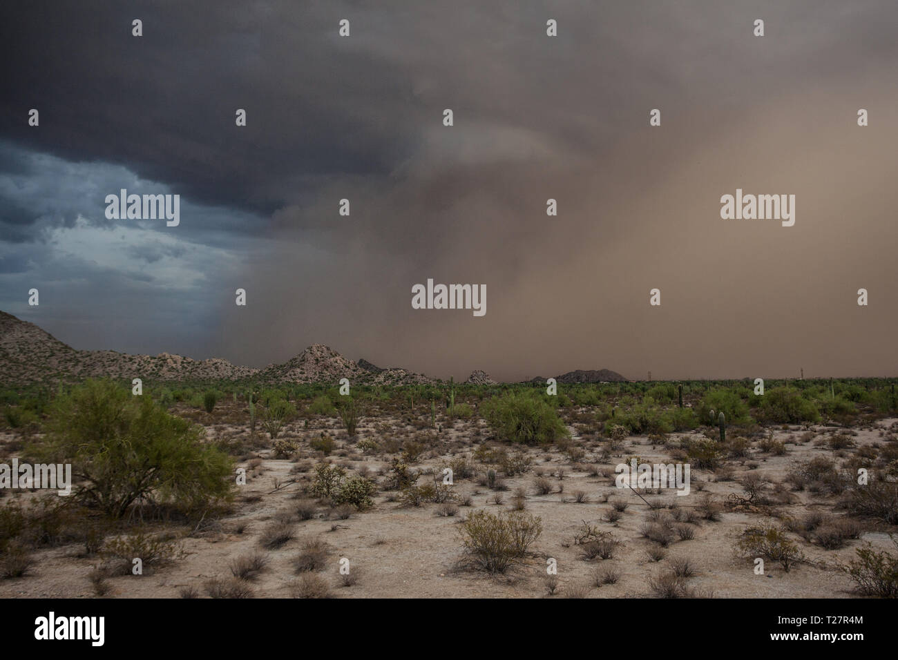 Sacaton mountains hires stock photography and images Alamy