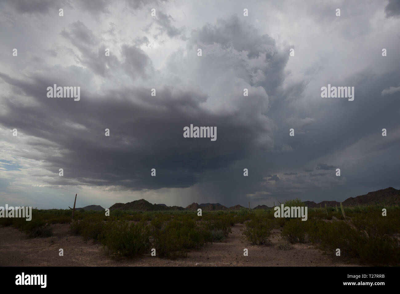 Ajo, Pima County, Arizona, USA Stock Photo Alamy