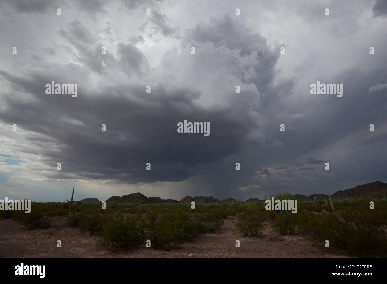 Ajo, Pima County, Arizona, USA Stock Photo