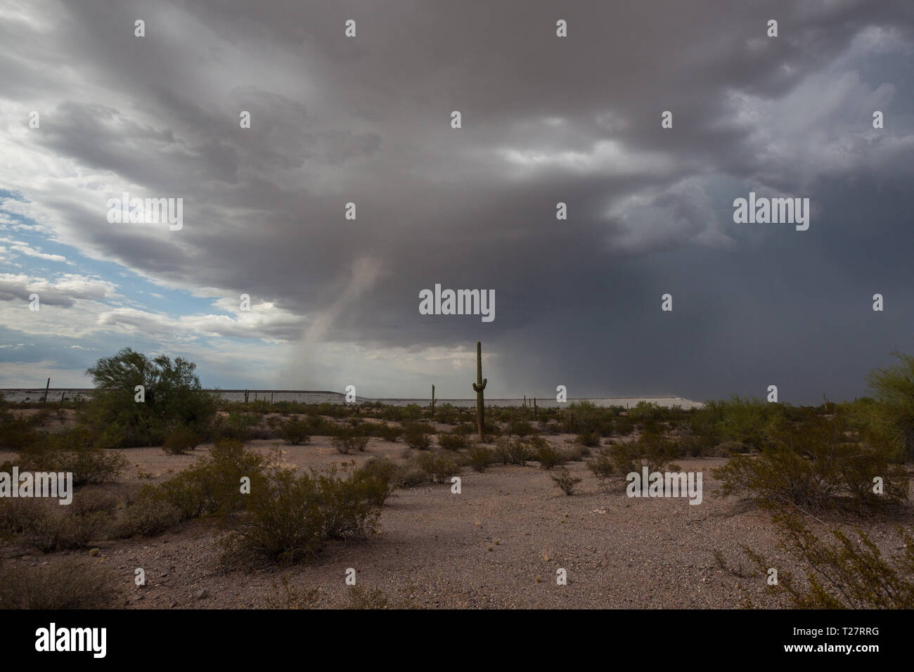 Ajo, Pima County, Arizona, USA Stock Photo Alamy