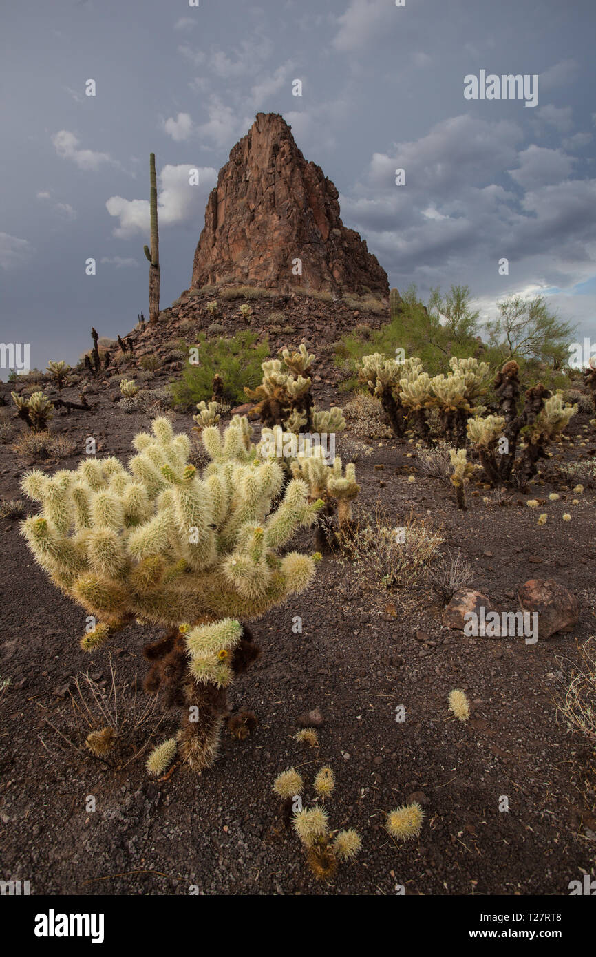 Crater Range, Maricopa County, Arizona, USA Stock Photo - Alamy