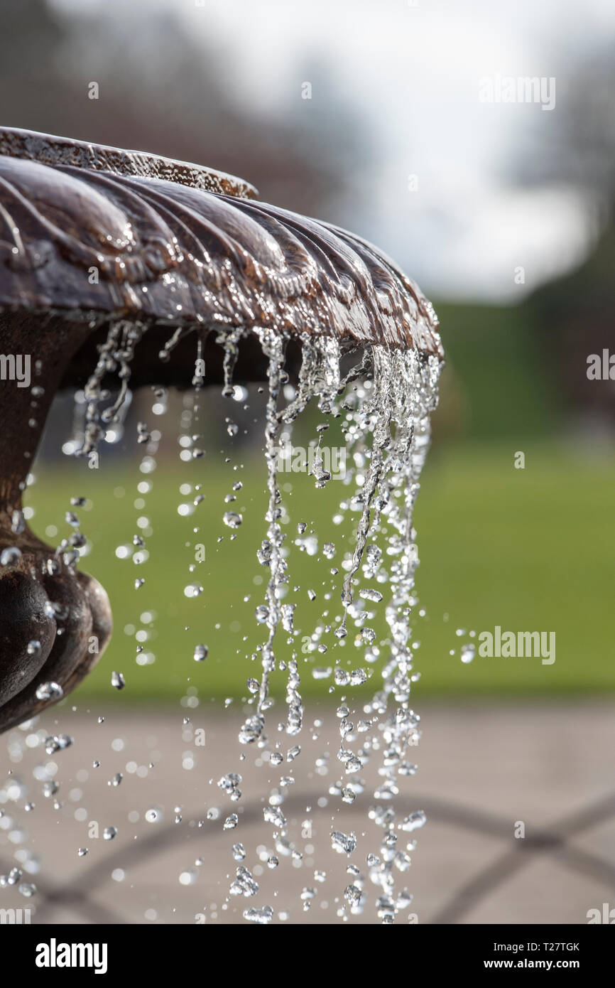 Overflowing water from a garden pond water feature in sunlight at RHS Wisley Gardens, Surrey, England Stock Photo