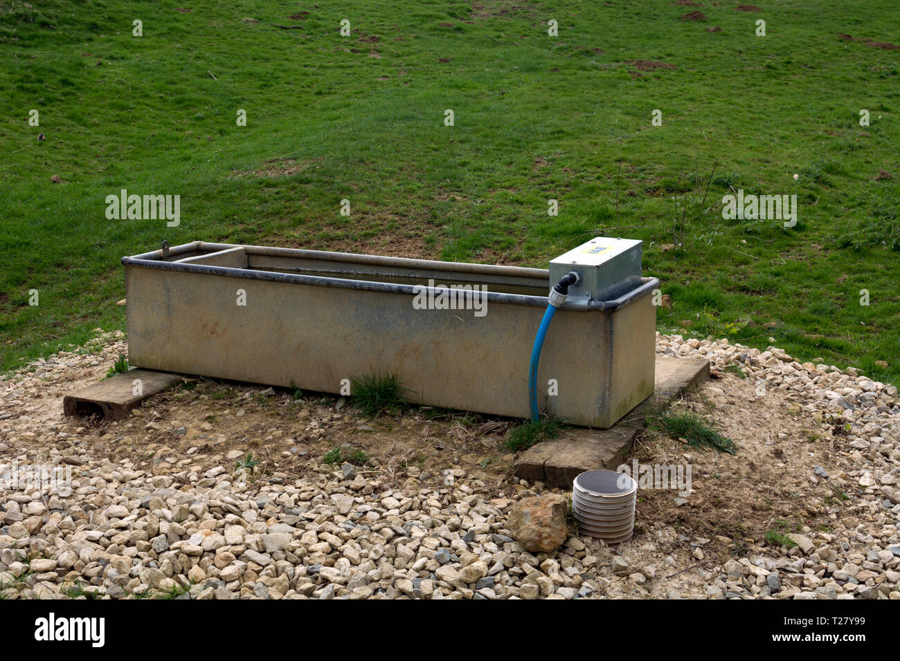 A water trough for livestock, Warwickshire, England, UK Stock Photo Alamy